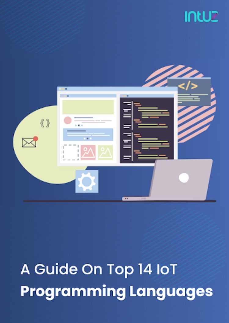 ioT Programming Languages 
