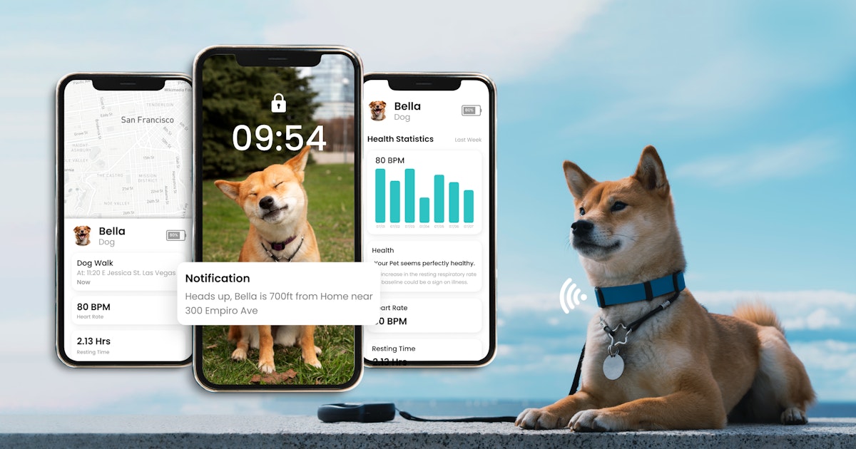 IoT-enabled Smart Dog Collar